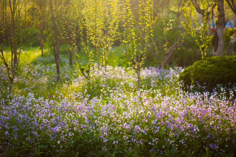 Geheimnisvoller Garten stockfoto. Bild von ziegelstein