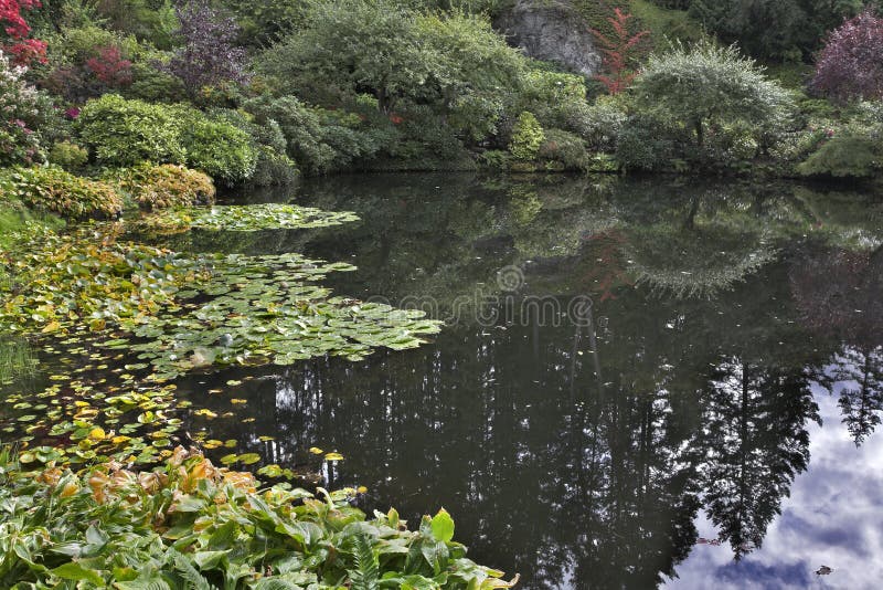 Geheimnisvoller Garten Fotos Kostenlose und RoyaltyFree