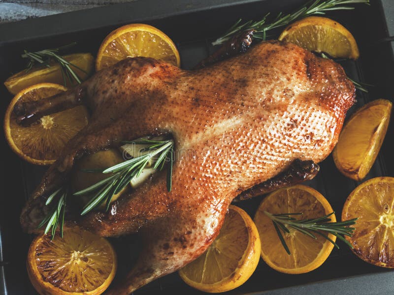 Gehele die braadstukeend met sinaasappelen, met appelen en rozemarijn op een bakseldienblad worden gevuld stock foto's Gehele die braadstukeend met sinaasappelen, met appelen en rozemarijn op een bakseldienblad worden gevuld stock foto's