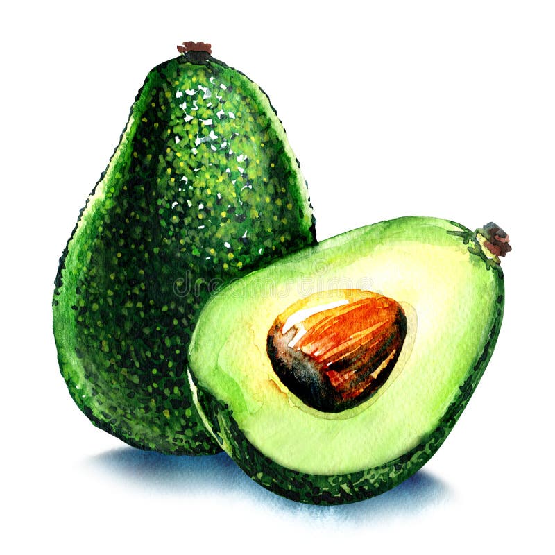 Gehele en halve avocado op wit royalty-vrije illustratie Gehele en halve avocado op wit royalty-vrije illustratie