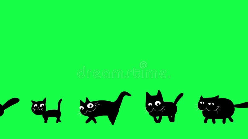 Gehende Animation der schwarzen Katzen der Karikatur auf grünem Schirm