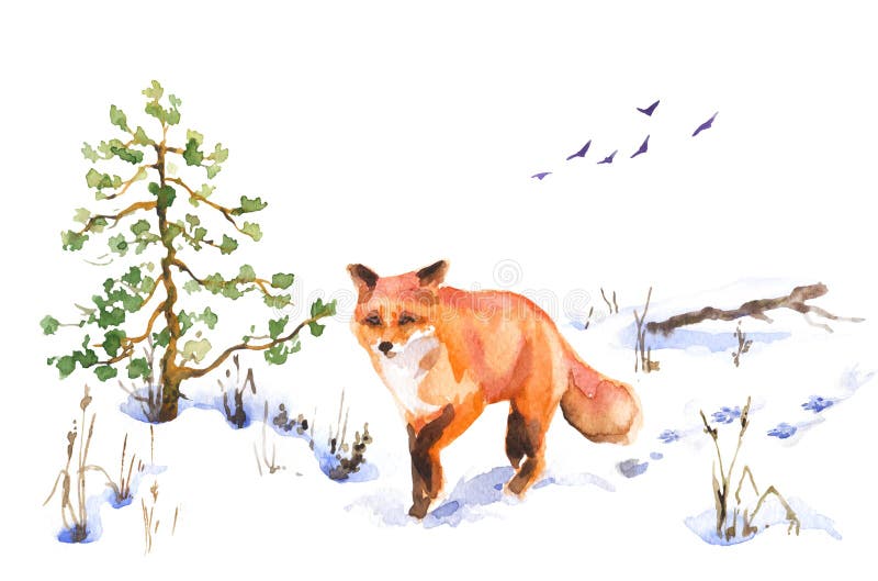 Gehender roter Fox in der Winter-Skizze