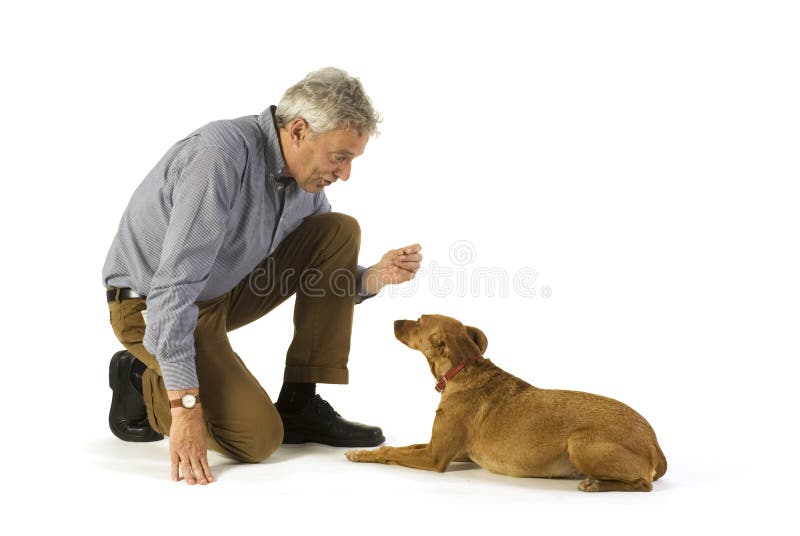 Gehorsam Stockfotos und Bilder Laden Sie 39,754 lizenzfreie Fotos