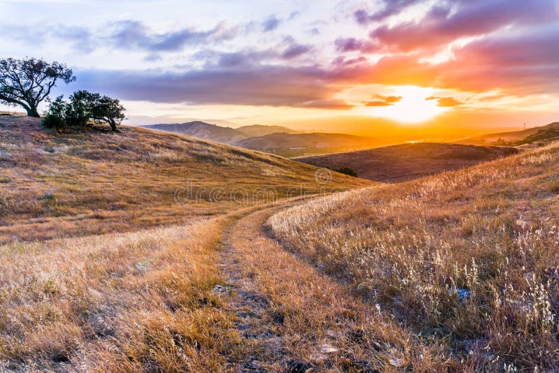 Gehweg auf den grasartigen Hügeln Süd-San- Francisco Baybereichs bei Sonnenuntergang, San Jose, Kalifornien lizenzfreie stockfotografie Gehweg auf den grasartigen Hügeln Süd-San- Francisco Baybereichs bei Sonnenuntergang, San Jose, Kalifornien lizenzfreie stockfotografie