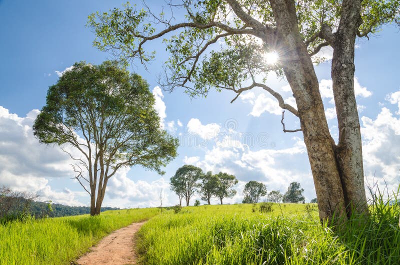 Gehweg zur Natur stockfotos Gehweg zur Natur stockfotos
