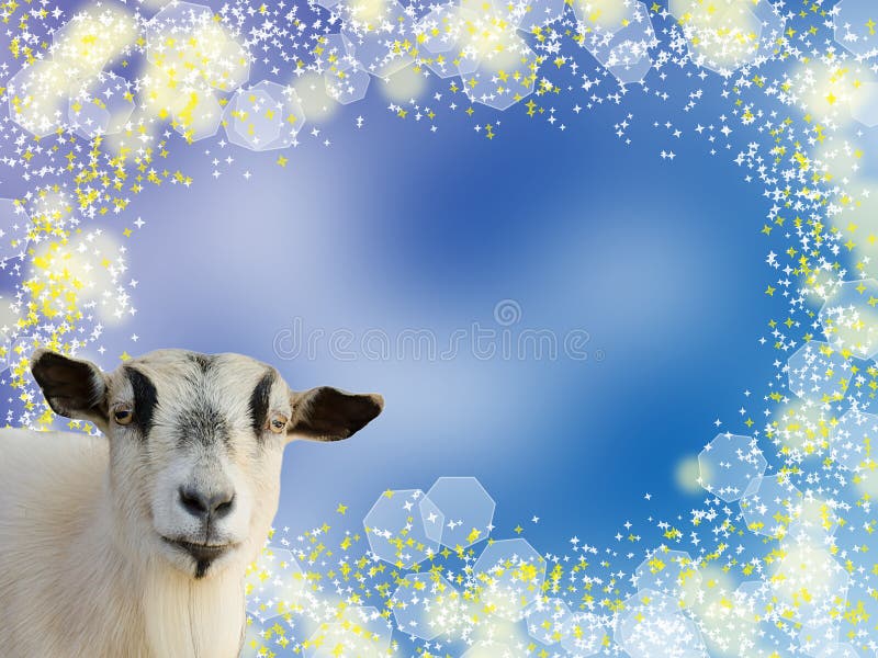 Geithoofd op Blauwe bokehachtergrond stock illustratie