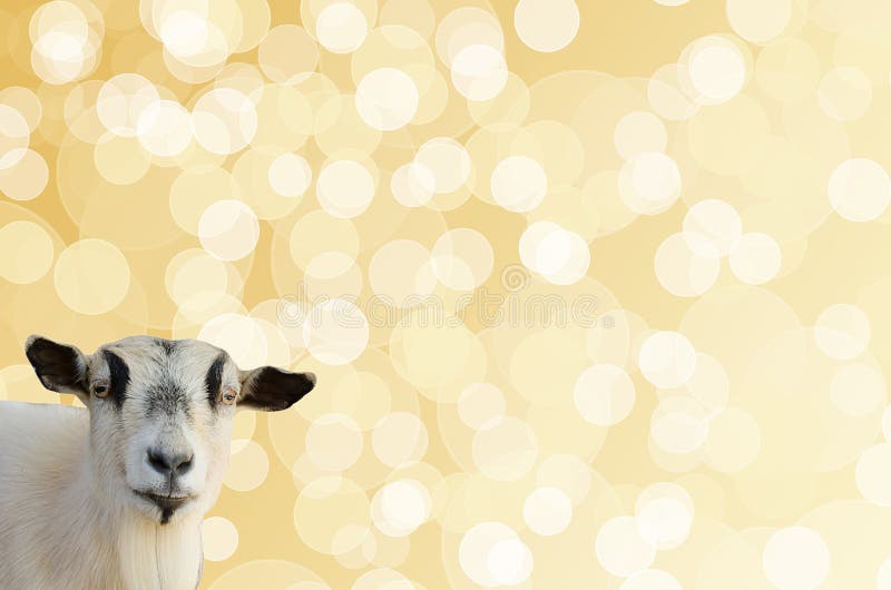 Geithoofd op Gouden bokehachtergrond stock illustratie