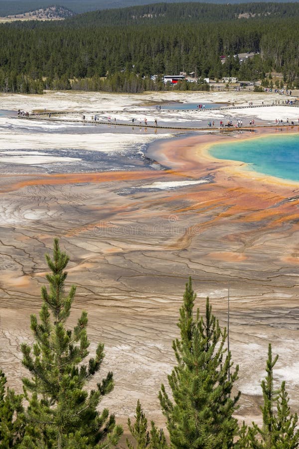 Gejzer w uroczystym graniastos? upowym wiosna basenie w Yellowstone parku narodowym zdjęcia stock