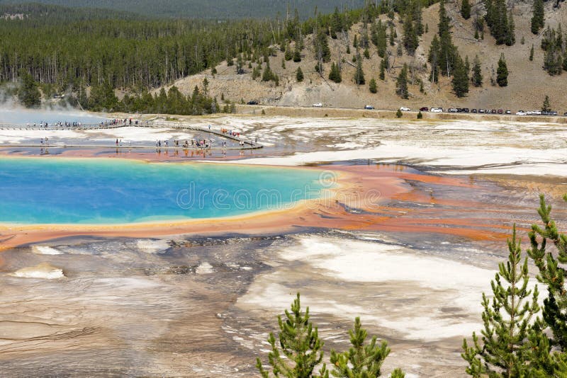 Gejzer w uroczystym graniastosłupowym wiosna basenie w Yellowstone parku narodowym obrazy royalty free
