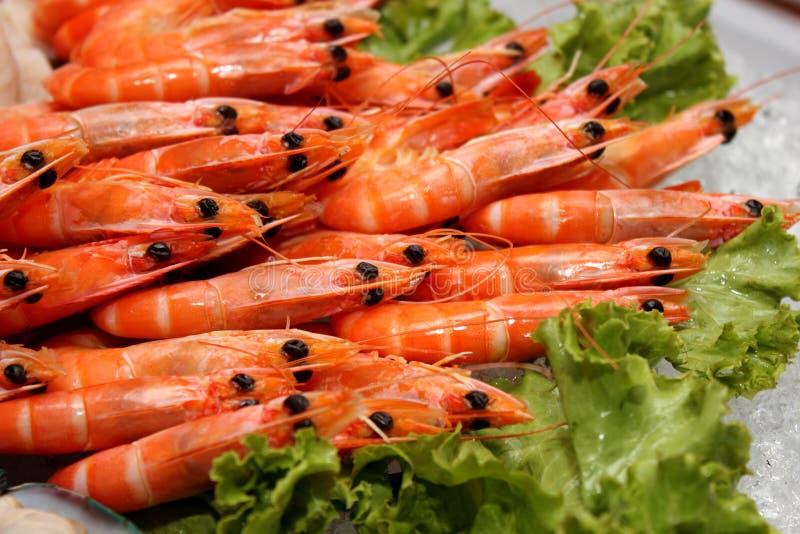 Gekochte Garnele auf Eis stockbild. Bild von makro, meeresfrüchte ...