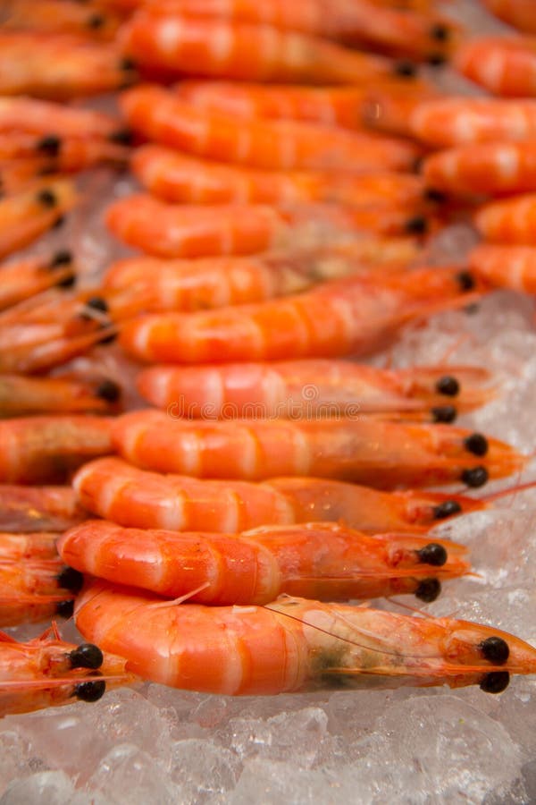 Gekochte Garnele auf Eis stockfoto. Bild von gekocht - 69712876
