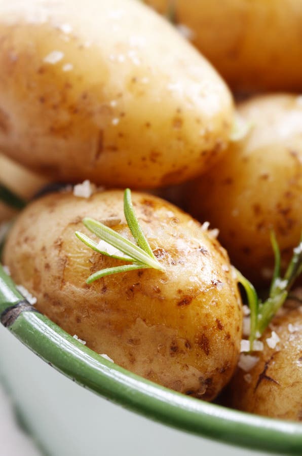 Gekochte Kartoffeln Mit Rosemary Stockbild Bild von hintergrund