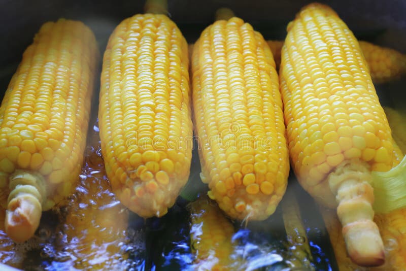 Gekochter Maiskolben stockbild. Bild von nahrung, nave - 59999073