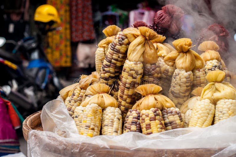 Gekookte mais stock foto