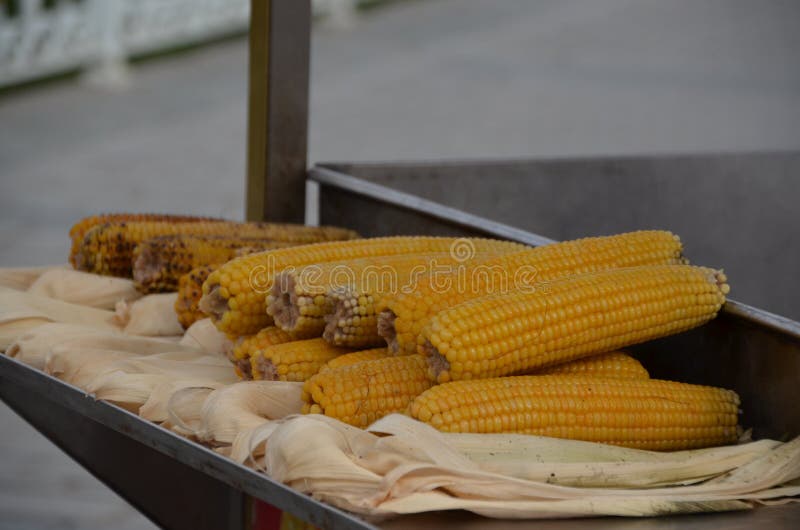 Gekookt graan met natuurlijk licht royalty-vrije stock afbeelding