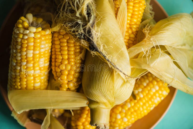 Gekookte maïs verdeelde brokken. Gekookte maïs in brokken royalty-vrije stock afbeeldingen