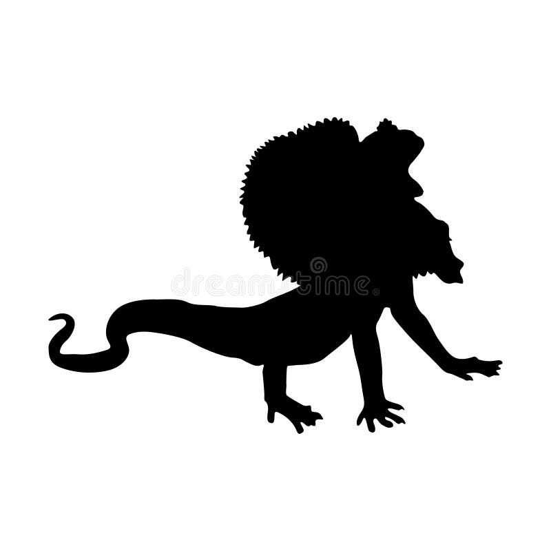 Frilled Lizard Chlamydosaurus Kingii Silhouette Found In Map Of Oceania Isolated On White Background. Frilled Lizard Chlamydosaurus Kingii Silhouette Found In Map Of Oceania Isolated On White Background