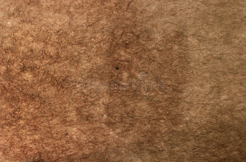 Gekräuseltes Brown-Papier stockfoto Gekräuseltes Brown-Papier stockfoto