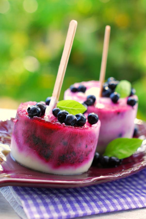 Gelado caseiro de mirtilo fotografia de stock