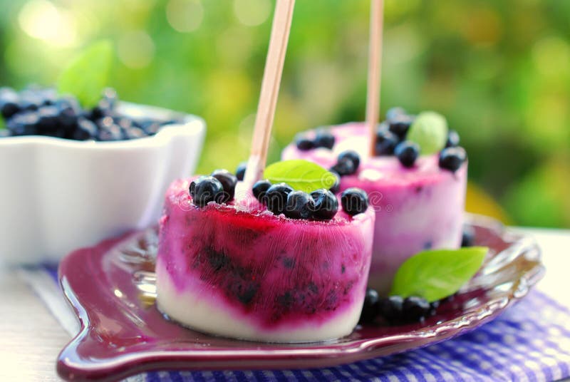 Gelado caseiro do mirtilo foto de stock royalty free
