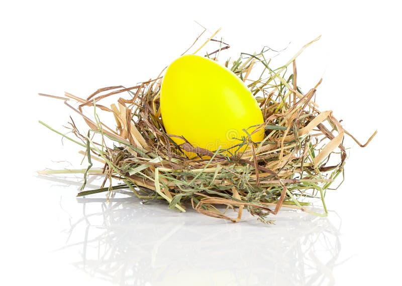 Gelbe Eier im Nest stockbild. Bild von ostern, getrennt 49061221