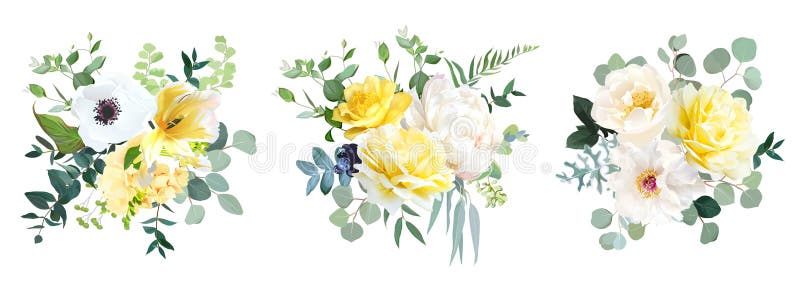 Gelbe Rose hydrangea weiße Pfingstrose Tulpe Anemone Frühling Garten Blumen lizenzfreie abbildung