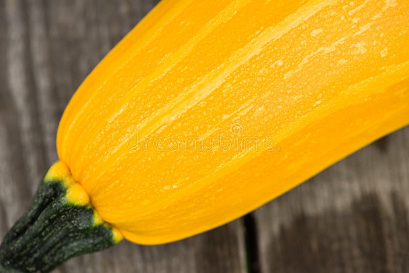 Gelbe Zucchini stockfoto. Bild von nachricht, organisch - 37524862