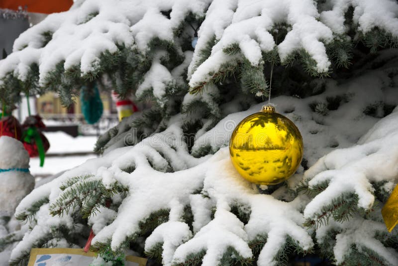 Gelber Ball Auf Weihnachtsbaum Mit Schnee Stockbild - Bild von kalt