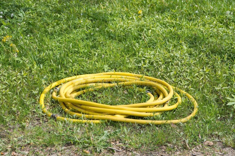 Gelber GartenSchlauch stockbild. Bild von gras, frühling 54368151