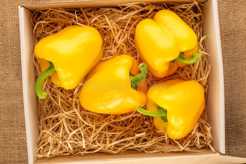 Gelber reifer Paprika auf weißem schwarzem Hintergrund und oberem Makro. lizenzfreie stockfotos