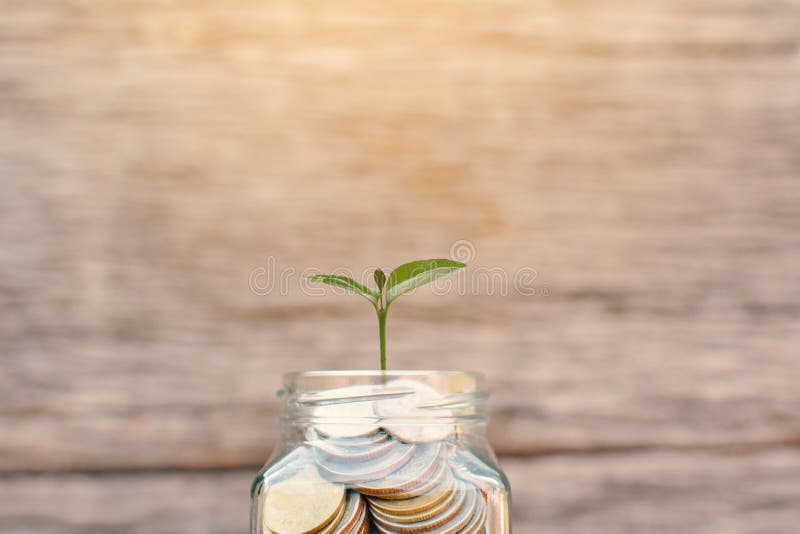 Geld in een glaskruik met groene installatie royalty-vrije stock fotografie Geld in een glaskruik met groene installatie royalty-vrije stock fotografie