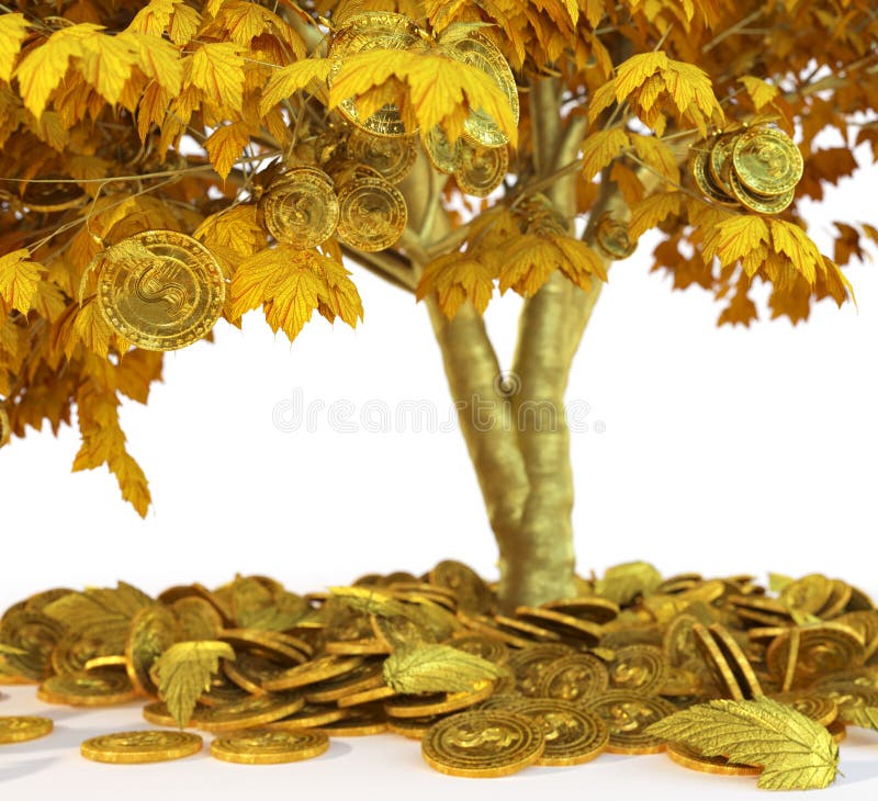 Geldbaum mit Münze auf weißem Hintergrundabschluß des Isolats oben stockbild Geldbaum mit Münze auf weißem Hintergrundabschluß des Isolats oben stockbild