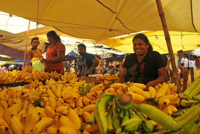 Gele banaanwinkel - Markt Tangalla (Sri Lanka) royalty-vrije stock foto Gele banaanwinkel - Markt Tangalla (Sri Lanka) royalty-vrije stock foto