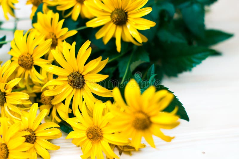 Gele bloemen op een houten lijst met vage achtergrond royalty-vrije stock foto Gele bloemen op een houten lijst met vage achtergrond royalty-vrije stock foto