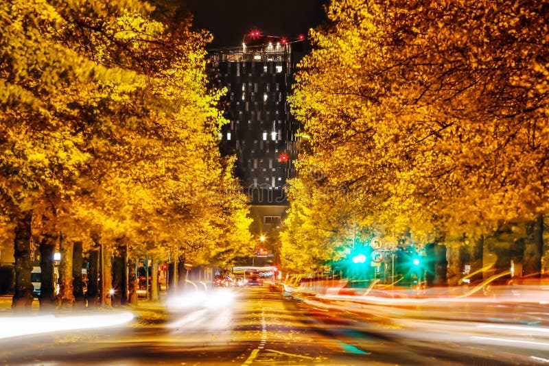 Gele de herfstbomen en lang zwart hotel bij nacht in Tampere, FI royalty-vrije stock fotografie Gele de herfstbomen en lang zwart hotel bij nacht in Tampere, FI royalty-vrije stock fotografie