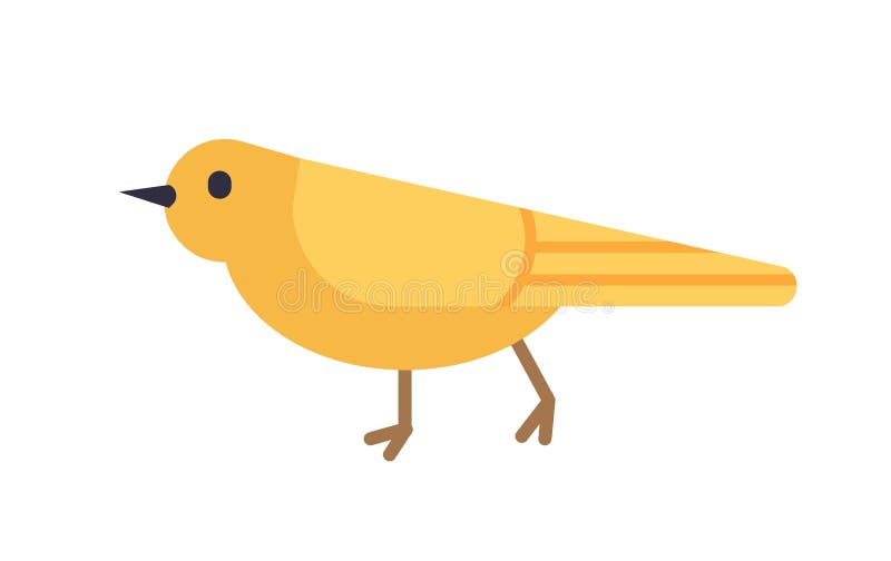 Gele die kanarie op witte achtergrond wordt geïsoleerd Schitterend binnenlands vogel of huisdier, aanbiddelijke zangvogel Leuk gr