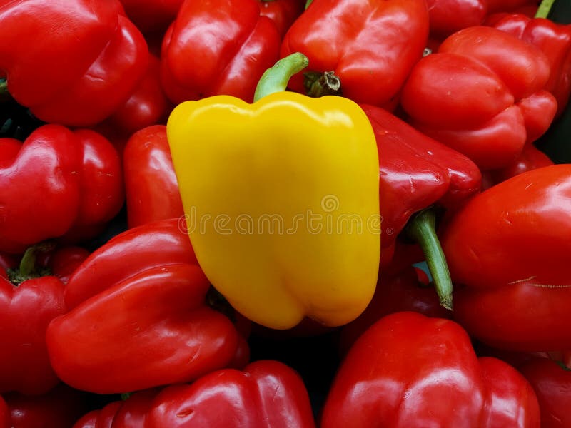 Gele groene paprika's in het midden van de zoete groene paprika in de supermarkt royalty-vrije stock afbeelding Gele groene paprika's in het midden van de zoete groene paprika in de supermarkt royalty-vrije stock afbeelding