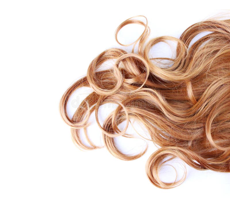 Gelocktes braunes Haar über Weiß lizenzfreies stockfoto Gelocktes braunes Haar über Weiß lizenzfreies stockfoto