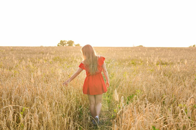 Geluk, aard, de zomer, de herfst, vakantie en mensenconcept - jonge vrouw op het gebied van rug royalty-vrije stock foto's Geluk, aard, de zomer, de herfst, vakantie en mensenconcept - jonge vrouw op het gebied van rug royalty-vrije stock foto's