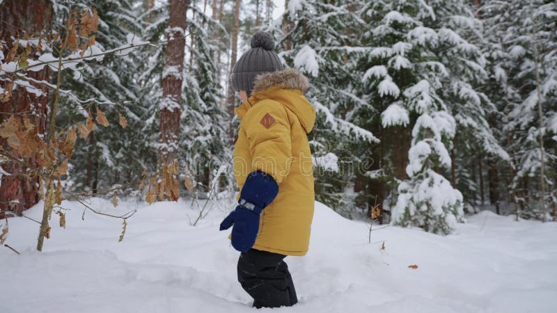 Gelukkig jongetje maakt het leuk in het winterwoud om sneeuw te gooien en kerstvakantie te glimlachen