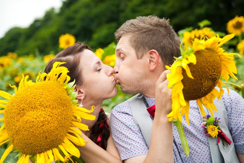 Gelukkig paar in liefde die pret in gebiedshoogtepunt hebben van zonnebloemen royalty-vrije stock foto's Gelukkig paar in liefde die pret in gebiedshoogtepunt hebben van zonnebloemen royalty-vrije stock foto's