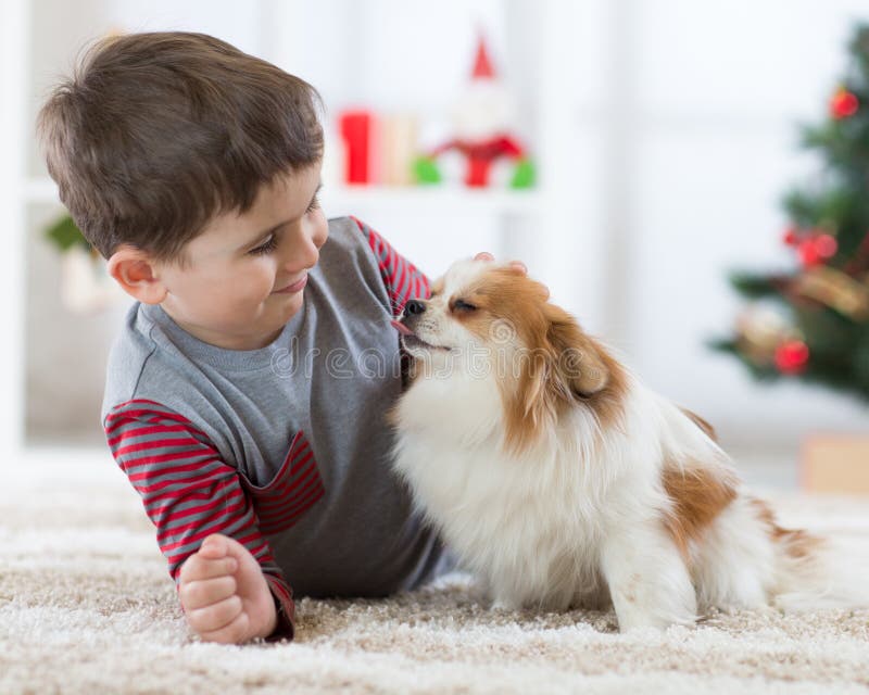Gelukkig weinig jong geitjejongen en hond bij Kerstmis stock foto Gelukkig weinig jong geitjejongen en hond bij Kerstmis stock foto