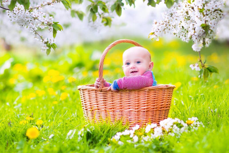 Gelukkige baby in mand in de bloeiende tuin van de appelboom