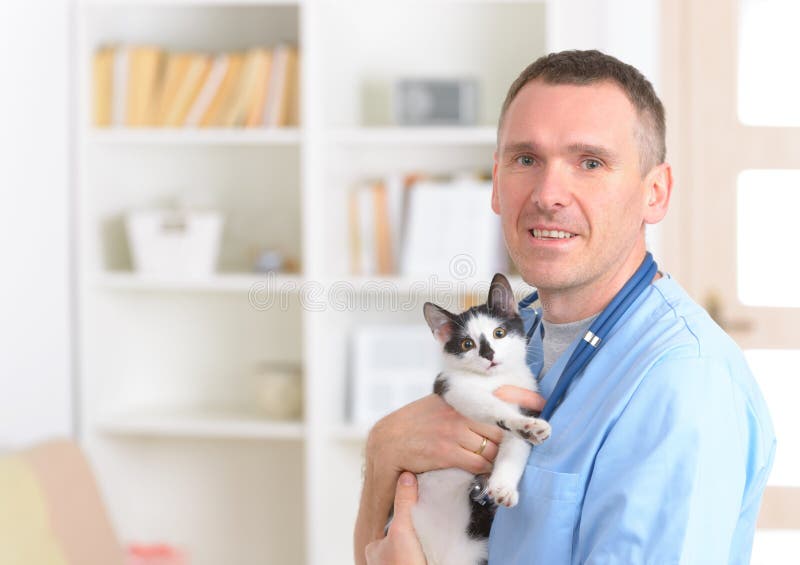 Gelukkige dierenarts met een kat royalty-vrije stock fotografie