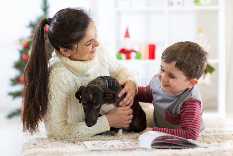Gelukkige familiemoeder en zoon die van het spelen met nieuwe hond genieten bij Kerstmis royalty-vrije stock fotografie Gelukkige familiemoeder en zoon die van het spelen met nieuwe hond genieten bij Kerstmis royalty-vrije stock fotografie