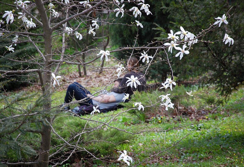 Gelukkige het houden van paar het besteden tijd in de tuin tussen bomen van bloesemmagnolia stock foto Gelukkige het houden van paar het besteden tijd in de tuin tussen bomen van bloesemmagnolia stock foto