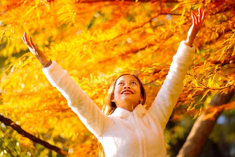 Gelukkige jonge mooie vrouw in de herfstpark op zonnige dag, Jonge vrouw in witte laag tijdens zonsondergang in het park royalty-vrije stock afbeelding Gelukkige jonge mooie vrouw in de herfstpark op zonnige dag, Jonge vrouw in witte laag tijdens zonsondergang in het park royalty-vrije stock afbeelding