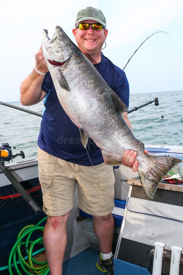 Portrait of a man holding a large fish, a Chinook, or King Salmon, caught on Lake Ontario near Oswego, New York. Portrait of a man holding a large fish, a Chinook, or King Salmon, caught on Lake Ontario near Oswego, New York.