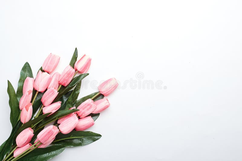 Gelukkige Roze de tulpenbloemen van Pasen stock foto's Gelukkige Roze de tulpenbloemen van Pasen stock foto's