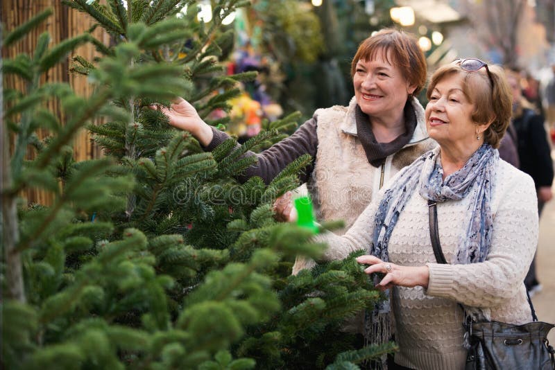 Gelukkige tevreden bejaarden die sparren selecteren stock fotografie Gelukkige tevreden bejaarden die sparren selecteren stock fotografie